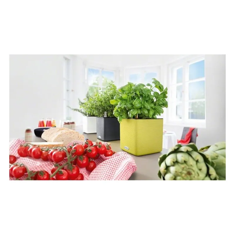 Vaso Cube Color 16 Set Completo-Lechuza Outlet