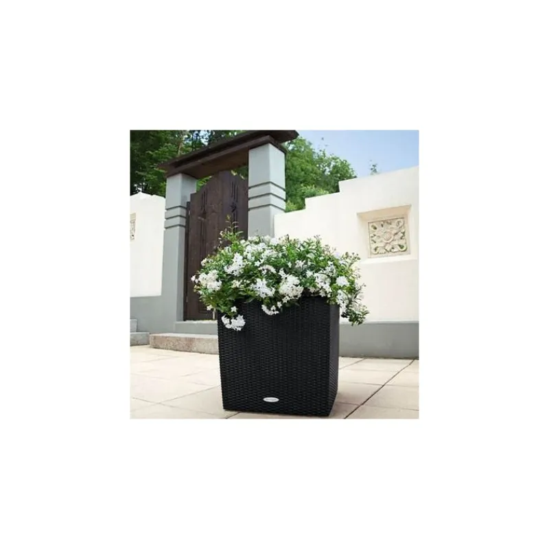 Vaso Cube Cottage 40 Set Completo-Lechuza Sale