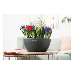 Vaso Cubeto 30 Set Completo-Lechuza Discount