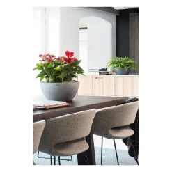 Vaso Cubeto 30 Set Completo-Lechuza Discount