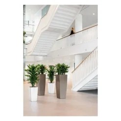 Vaso Cubico Alto Set Completo-Lechuza Outlet