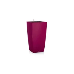 Vaso Cubico Color 22 Set Completo-Lechuza Sale