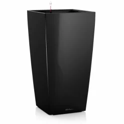 Vaso Cubico Premium 22 Set Completo-Lechuza Hot