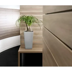 Vaso Cubico Premium 22 Set Completo-Lechuza Hot