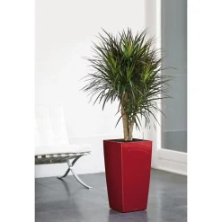 Vaso Cubico Premium 30 Set Completo-Lechuza New