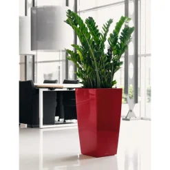 Vaso Cubico Premium 50 Set Completo-Lechuza Best