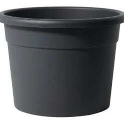 Vaso Diana-Vasar Clearance