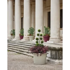 Vaso Eos-Teraplast Sale