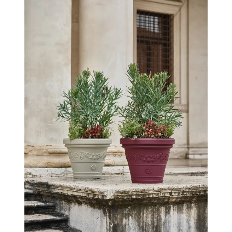 Vaso Festonato-Teraplast Best