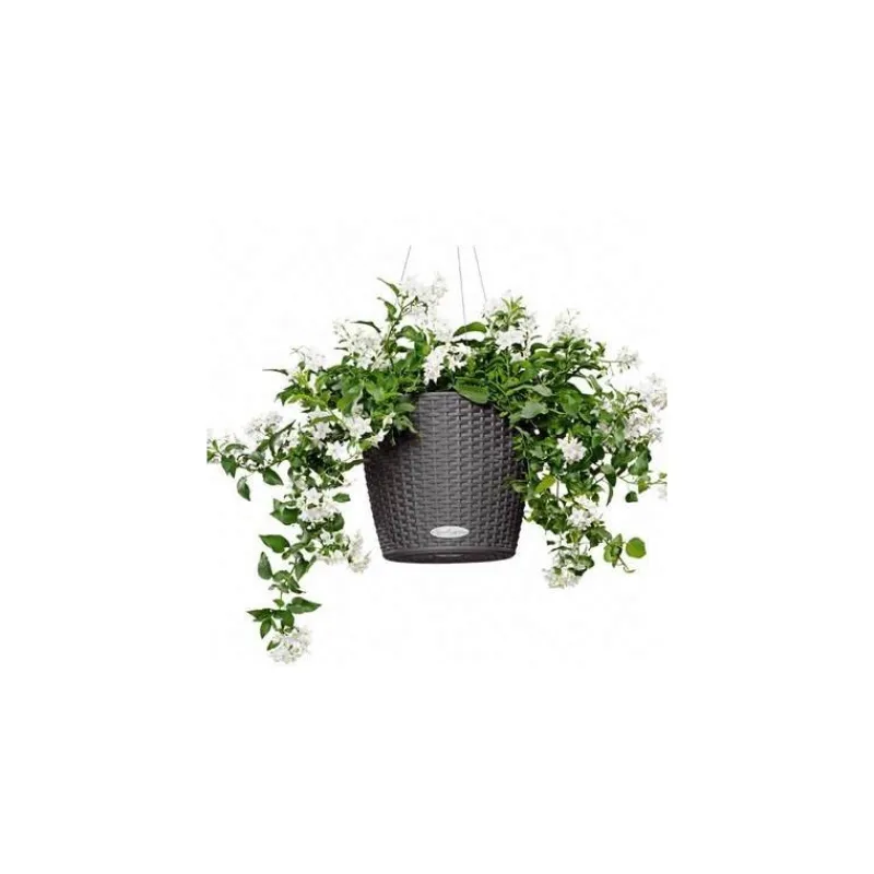 Vaso Nido Cottage Set Completo-Lechuza