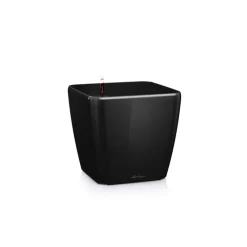 Vaso Quadro Premium 28 Set Completo-Lechuza New