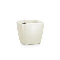 Vaso Quadro Premium 43 Set Completo-Lechuza Hot