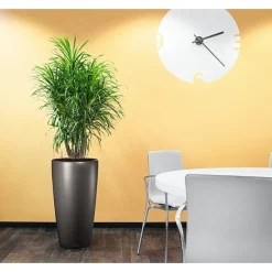 Vaso Rondo Premium 32 Set Completo-Lechuza Best